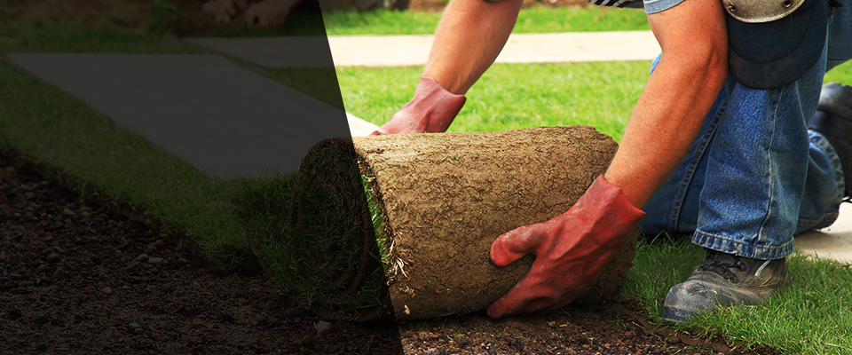 Clarksdale Landscapers